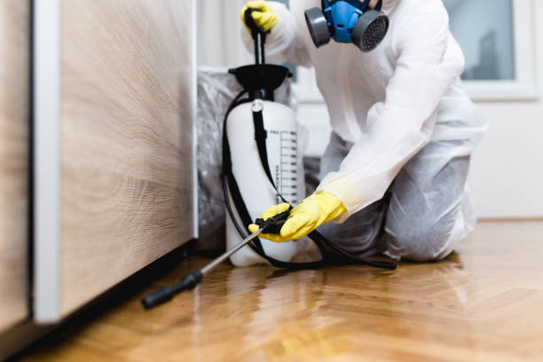 Best Cockroach Control Services  in Monon, IN