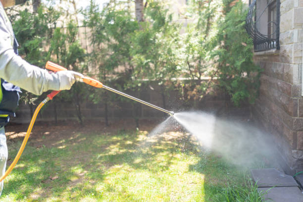 Best Spider Control Near Me  in Monon, IN