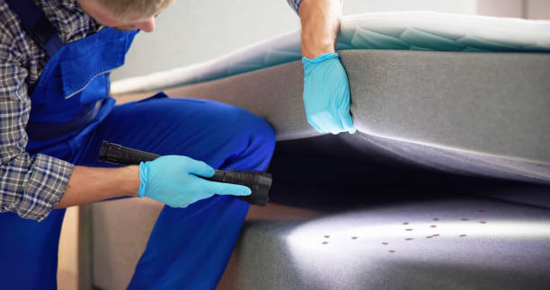Best Mosquito Control Services  in Monon, IN